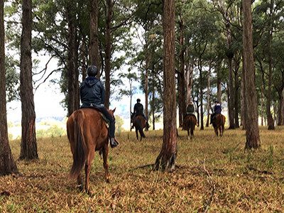 horse-riding horse-riding